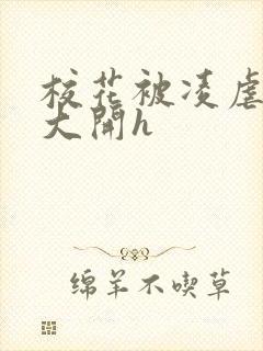 校花被凌虐双腿大开h封面