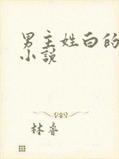 男主姓白的总裁小说
