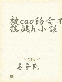 被cao的合不拢腿h小说