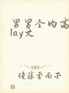 男男全肉高hplay文