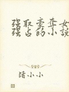 强取豪夺女主被强占的小说封面