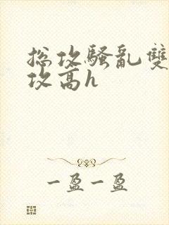 总攻骚乱双性互攻高h