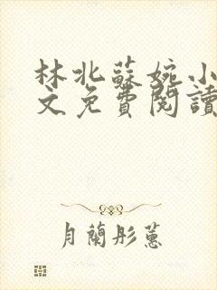 林北苏婉小说全文免费阅读完整版