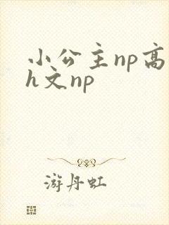 小公主np高辣h文np