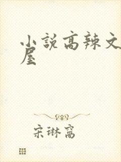 小说高辣文御宅屋