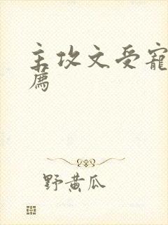 主攻文受宠攻推荐