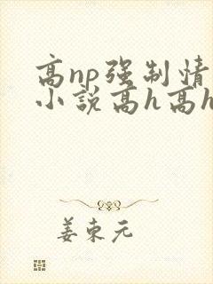 高np强制情节小说高h高h封面