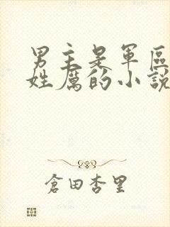 男主是军区首长姓厉的小说