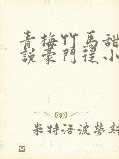 青梅竹马甜宠小说豪门从小到大