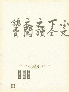 锦衣之下小说免费阅读全文无删减封面