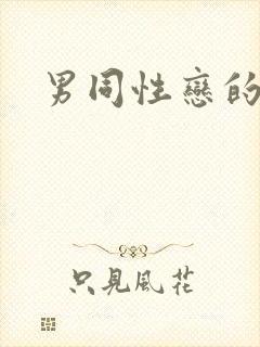 男同性恋的裸体