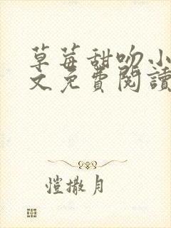 草莓甜吻小说全文免费阅读