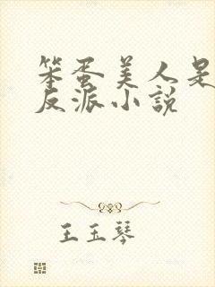 笨蛋美人是恶毒反派小说