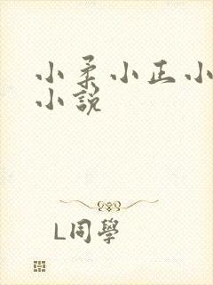 小柔小正小刚的小说