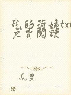 我的荷姨txt免费阅读