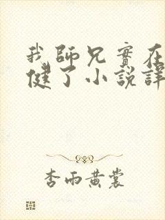 我师兄实在太稳健了小说详细剧情封面