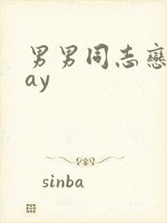 男男同志恋片gay