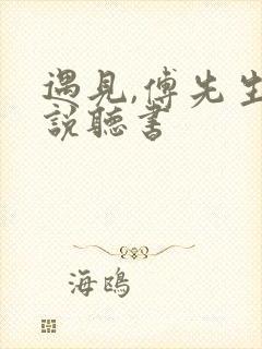 遇见,傅先生小说听书