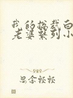 我的总裁白富美老婆系列小说