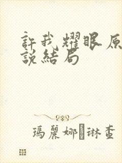 许我耀眼原著小说结局