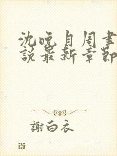 沈晚月周聿白小说最新章节更新封面