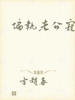 偏执老公宠上天封面