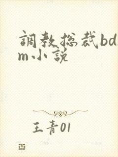 调教总裁bdsm小说