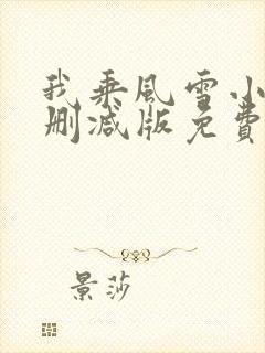 我乘风雪小说无删减版免费阅读