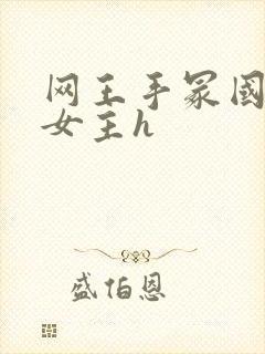 网王手冢国光与女主h封面