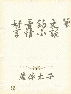 好看的文笔好的言情小说封面