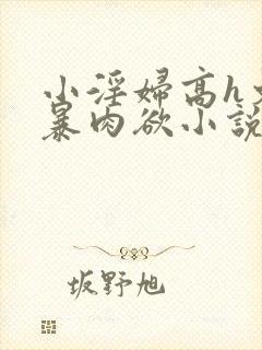 小淫妇高h文黄暴肉欲小说封面