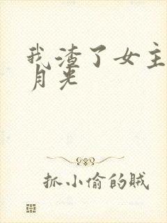 我渣了女主的白月光