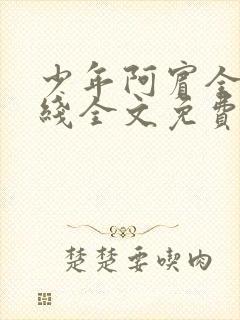 少年阿宾全集在线全文免费阅读