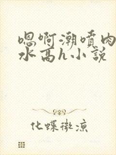 嗯啊潮喷肉失禁水高h小说