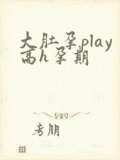 大肚孕play高h孕期