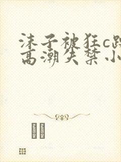 沫子被狂c躁到高潮失禁小说