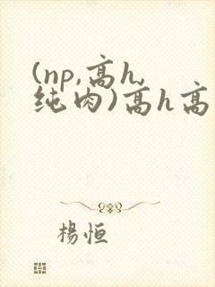 (np,高h,纯肉)高h高辣