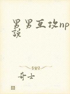男男互攻np小说