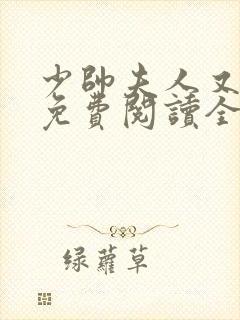 少帅夫人又跑了免费阅读全集