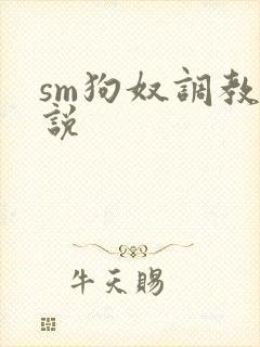sm狗奴调教小说