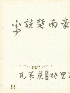 小说楚南豪门狂少
