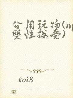 公用玩物(np双性总受)