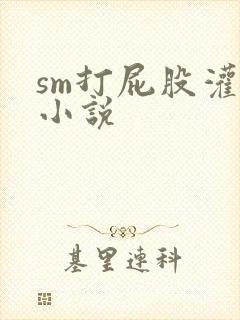 sm打屁股灌肠小说