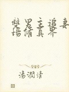 双男主追妻火葬场修真界封面