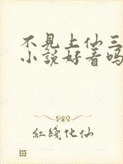 不见上仙三百年小说好看吗