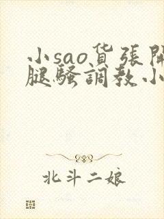 小sao货张开腿骚调教小说