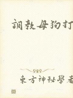 调教母狗打屁股封面