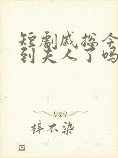 短剧戚总今天追到夫人了吗全集免费观看