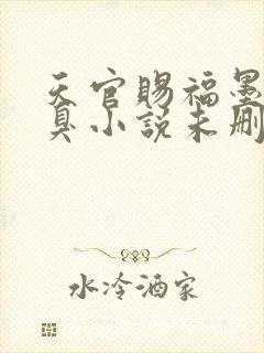 天官赐福墨香铜臭小说未删减完整版封面