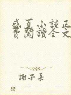 盛夏小说正版免费阅读全文无弹窗封面